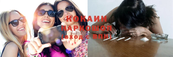 шишки Абаза