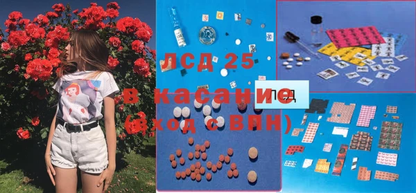 шишки Абаза