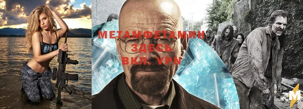 шишки Абаза