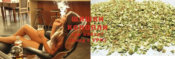 шишки Абаза