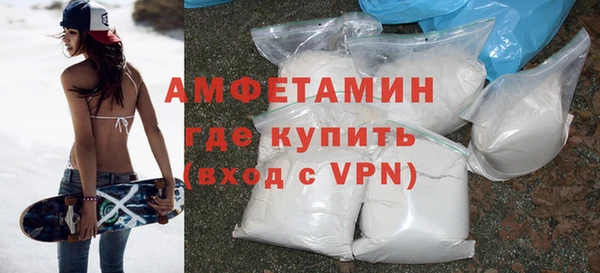 шишки Абаза